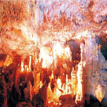 石垣島鍾乳洞官方網站 珊瑚礁形成的日本最美鍾乳洞