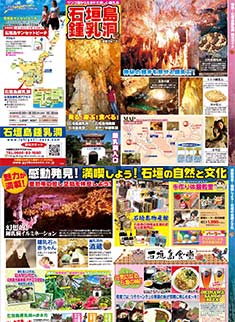 石垣島鍾乳洞 公式サイト サンゴ礁から生まれた美しい鍾乳洞 石垣島鍾乳洞 公式サイト サンゴ礁から生まれた美しい鍾乳洞